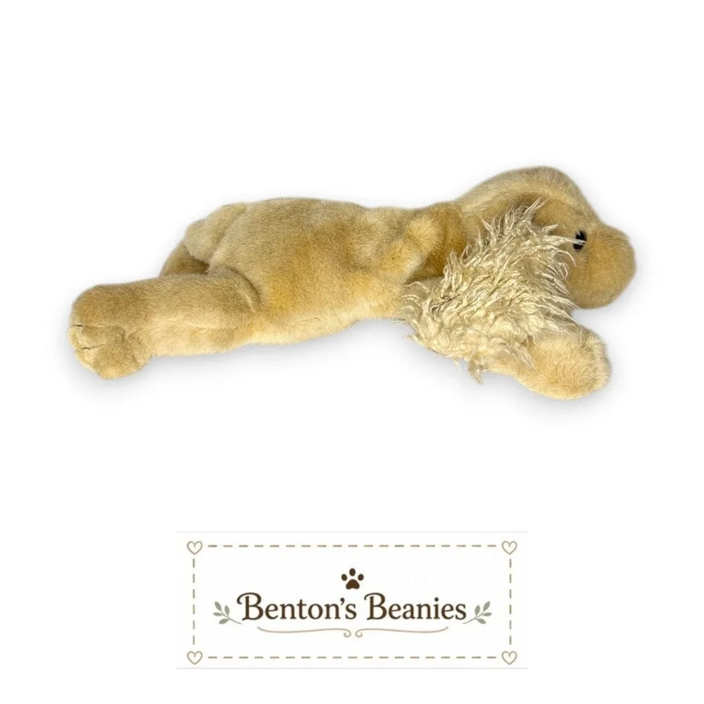 Charlie the Dog TY Classic (Beanie Buddies Size) | Mint Tags